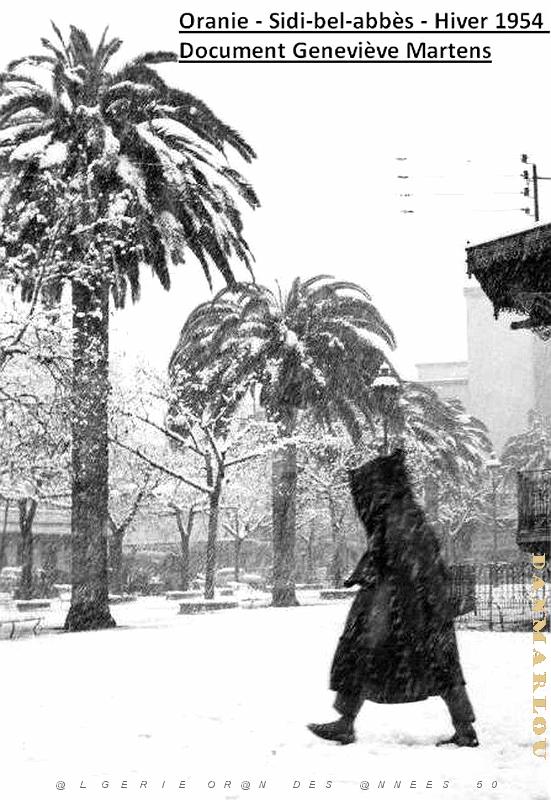 Sidi bel abbes 384.jpg